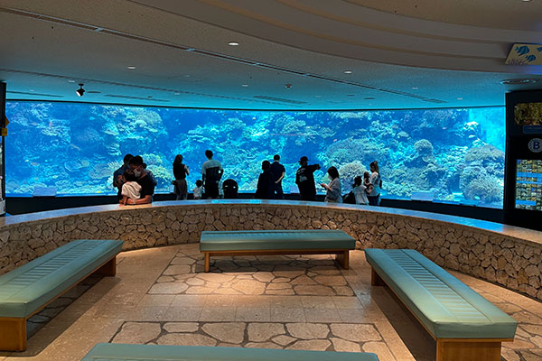 ＜サンゴの海＞水槽は沖縄のサンゴ礁を忠実に再現しています。