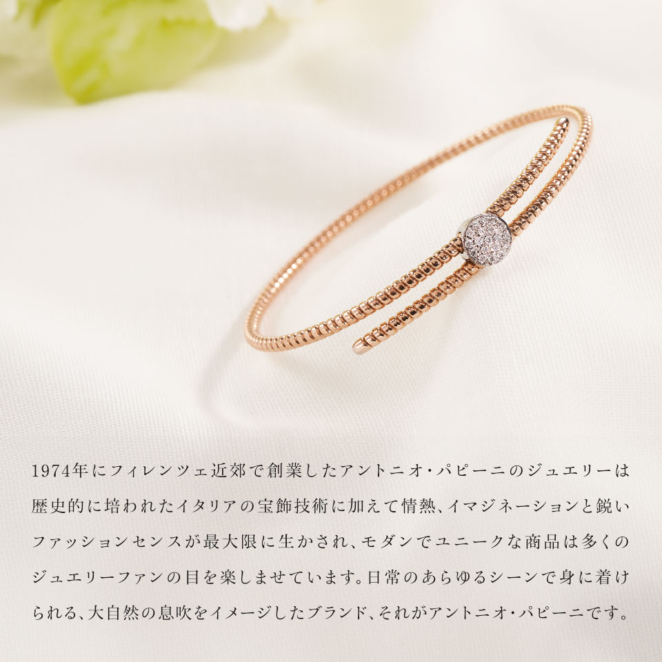 アントニオ・パピーニ