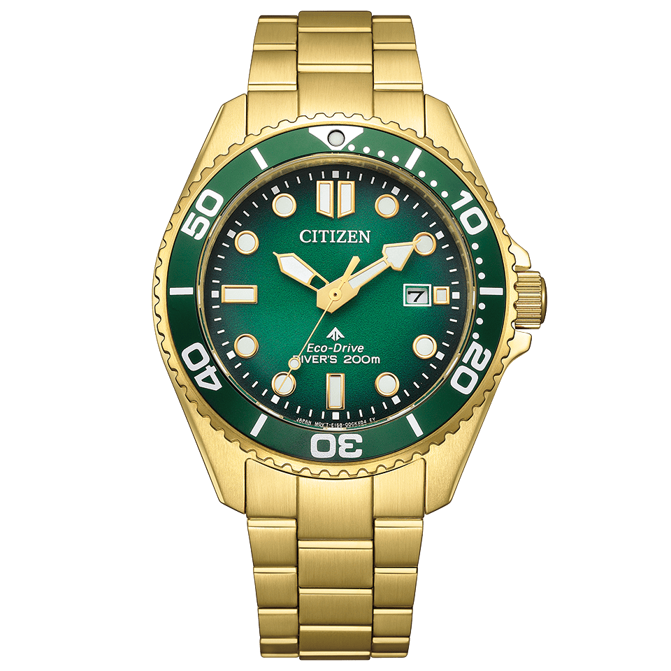 BN0262-59W  PROMASTER