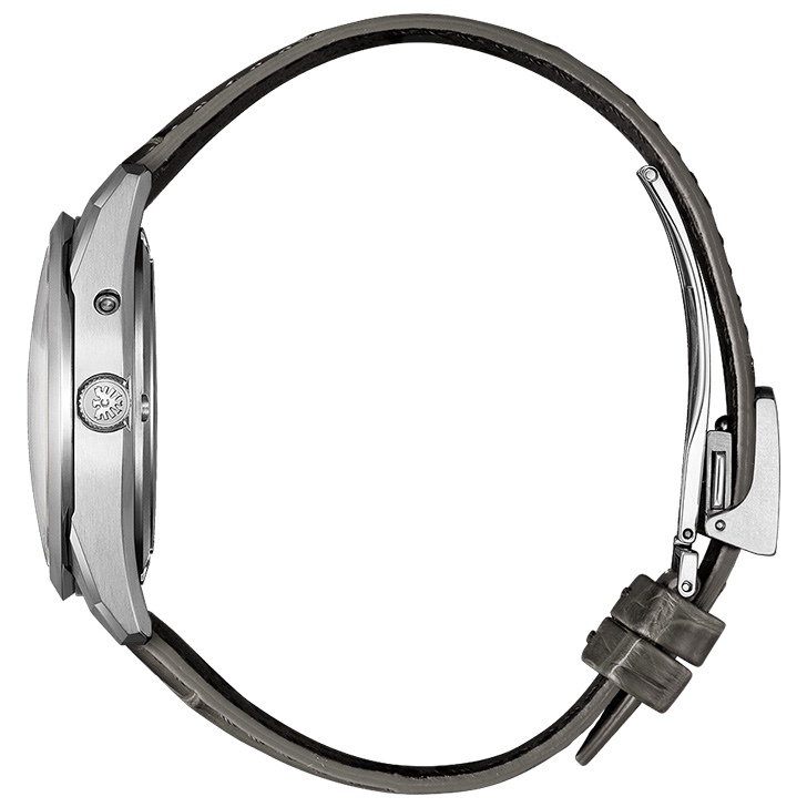 The CITIZEN Iconic Nature Collection AQ4100-22A