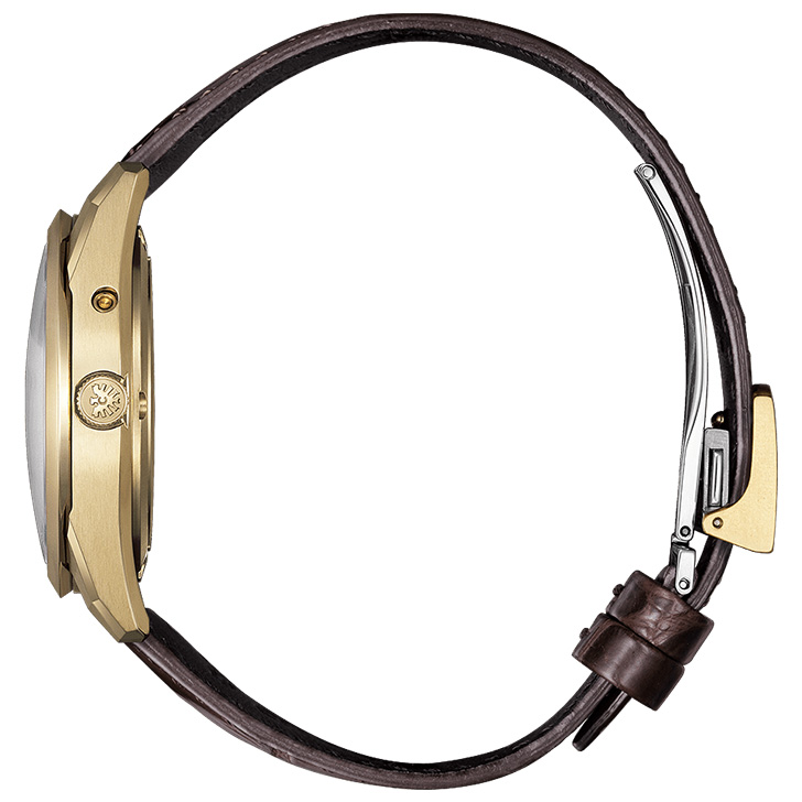 The CITIZEN Iconic Nature Collection AQ4103-16W