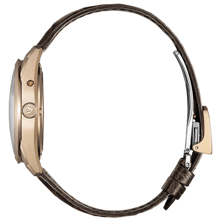 The CITIZEN Iconic Nature Collection AQ4106-00A