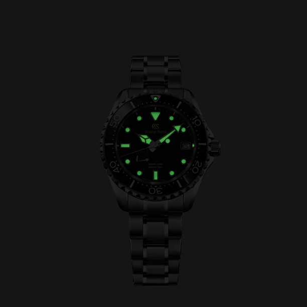 SBGA463