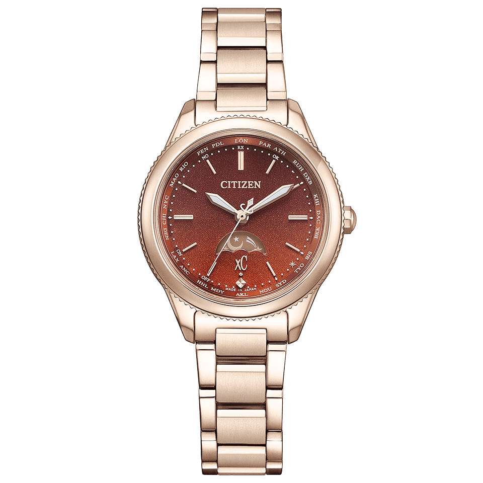 EE1004-73W