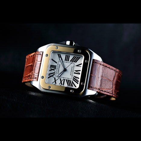 Cartier
 SANTOS 100 WATCH | カルティエ サントス 100