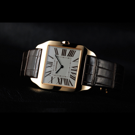 Cartier
SANTOS-DUMONT | カルティエ サントス デュモン