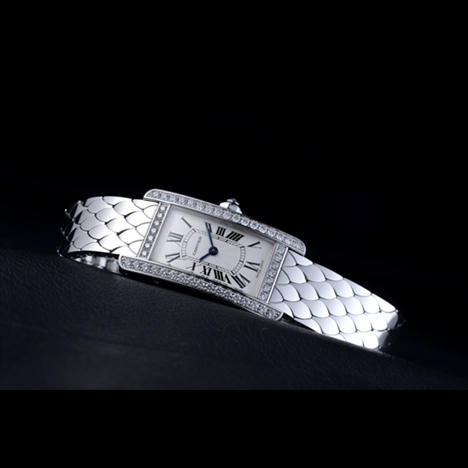 Cartier
Tank Americaine watch | カルティエ タンク アメリカン SM