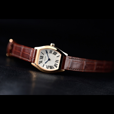 Cartier
TORTUE WATCH SM PG | カルティエ トーチュ ウォッチ SM PG