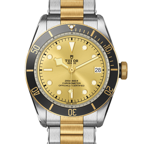 TUDOR
BLACK BAY S&G | チューダー ブラックベイ S&G
