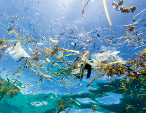ORIS(オリス) 2019新作 オリスの海洋環境改善キャンペーンが更に進展。「クリーンオーシャン リミテッドエディション」