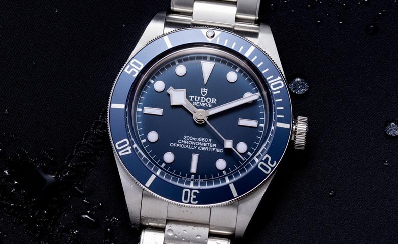 チューダー(TUDOR) 2020新作 チューダー「ブラックベイ フィフティ ...