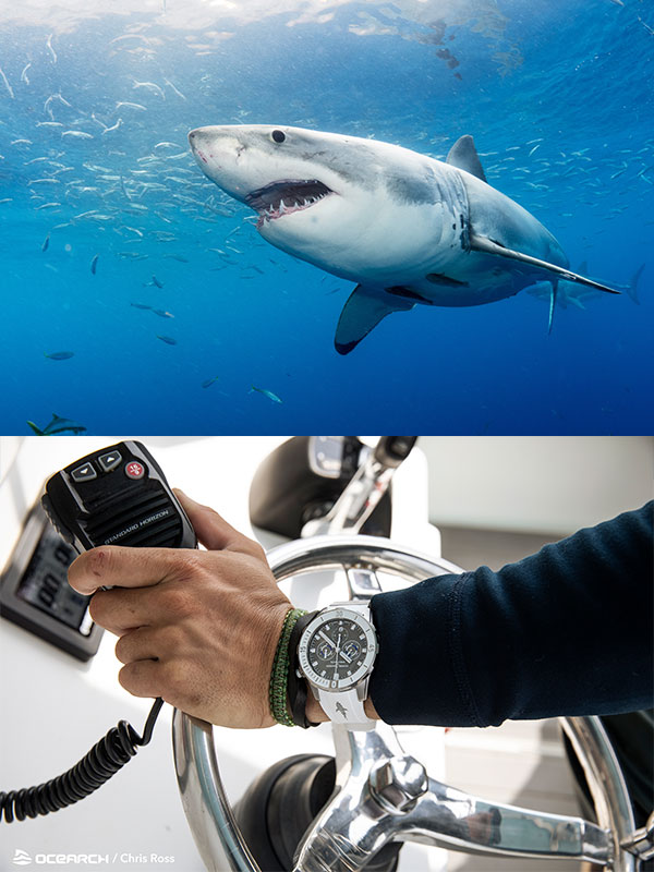 ULYSSE NARDIN(ユリス・ナルダン) 2022新作 サメの未来を守る。ユリス・ナルダン「ダイバー クロノグラフ グレートホワイト」