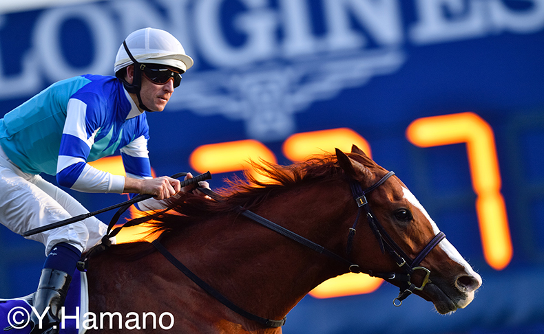 「カツラギエース」「エルコンドルパサー」「アーモンドアイ」歴代の名馬が集結。ロンジン ジャパンカップ 写真展が2021年11月17日(水)より開催