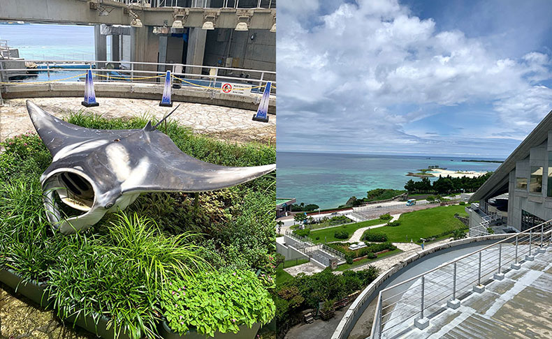 沖縄美ら海水族館を訪問：第1回水族館展示エリアを巡って、ついにマンタに会いました！