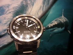IWC(アイ・ダブリュー・シー)

