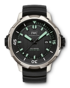 IWC(アイ・ダブリュー・シー)
