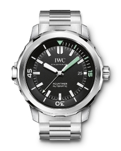 IWC(アイ・ダブリュー・シー)
