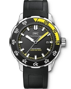 IWC(アイ・ダブリュー・シー)
