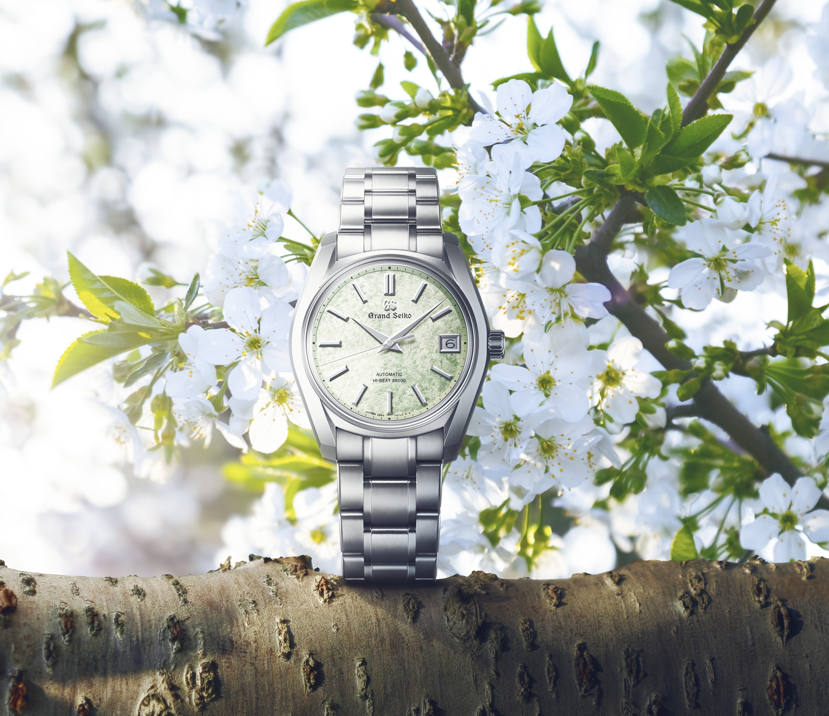 カンパノラ(CAMPANOLA) 宙鏡(そらかがみ) NZ0000-58L | そごう千葉店 4