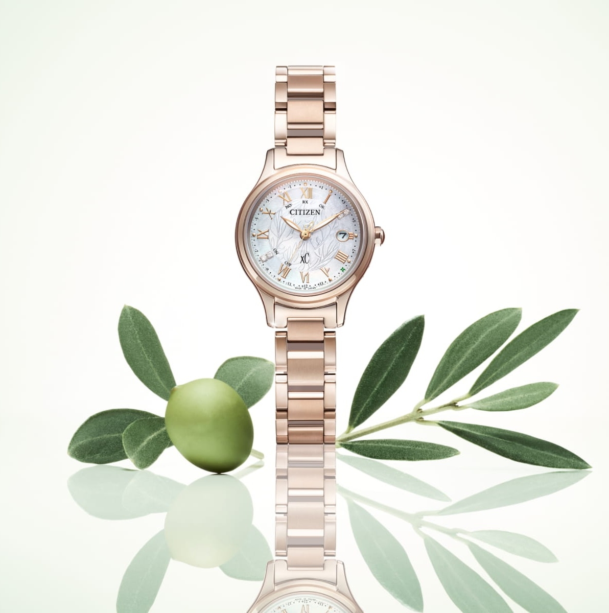 カシオ(CASIO) カシオウオッチ50周年記念特別モデル | 松坂屋