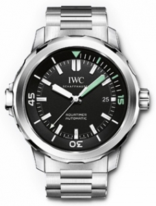 IWC(アイ・ダブリュー・シー)
