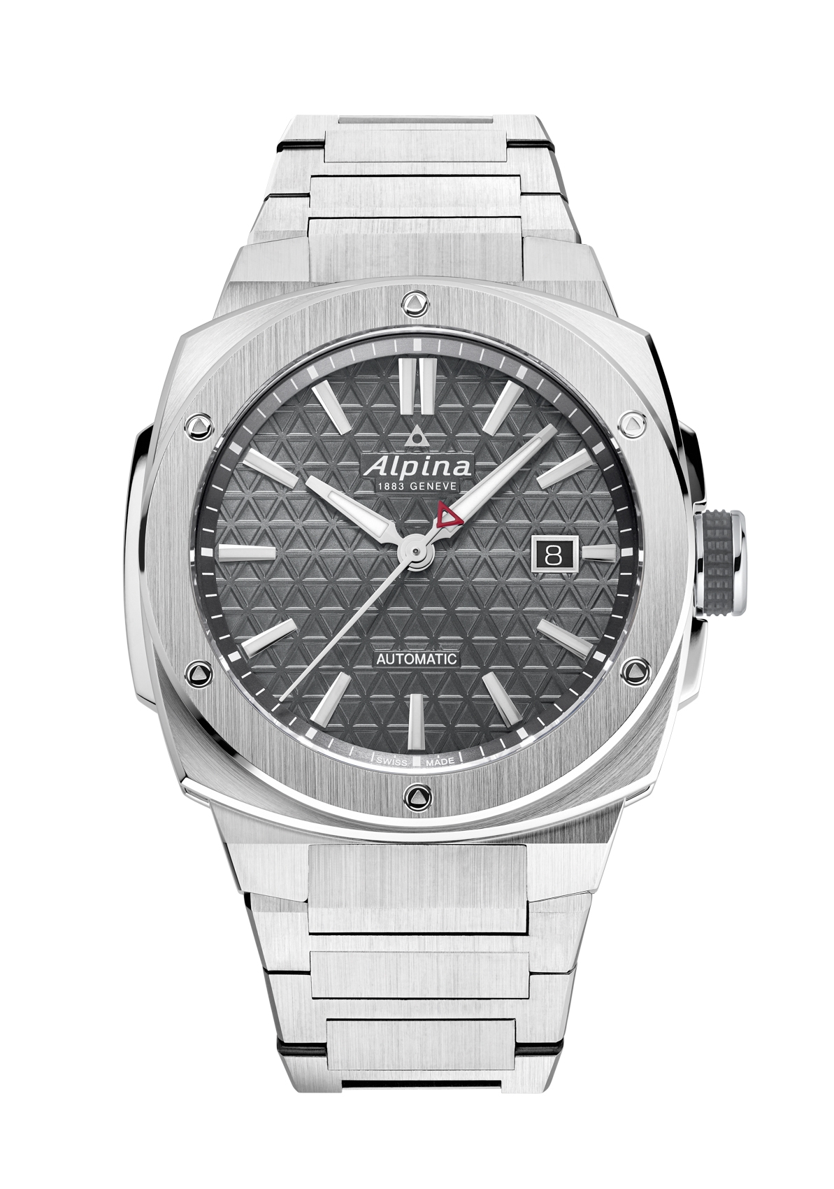 Alpina Comp Sk サイズEU40　新品未使用 アルピナ(Alpina) AL-650NDG4AE6B アルパイナー エクストリーム