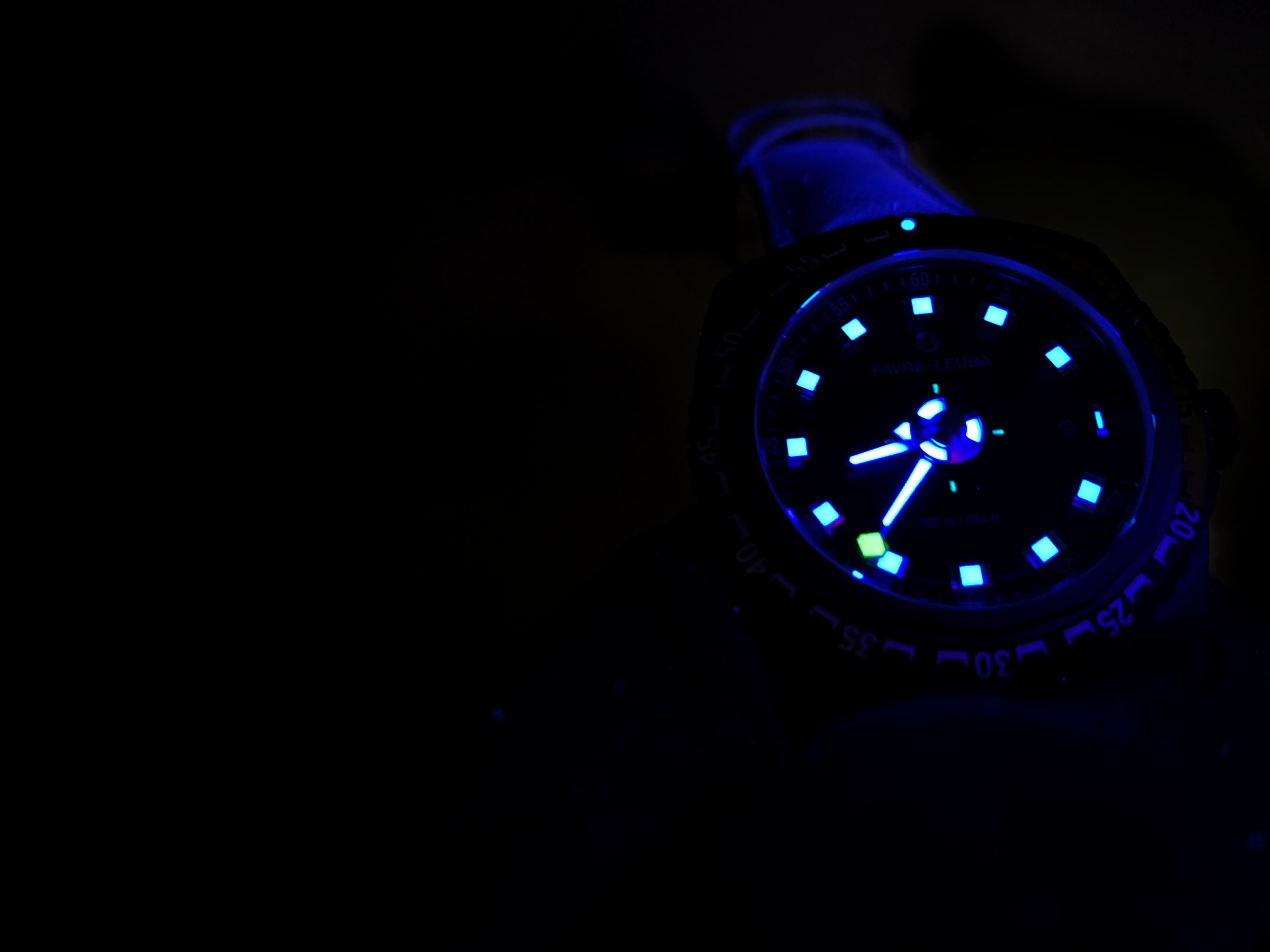 (ファーブル・ルーバ)
