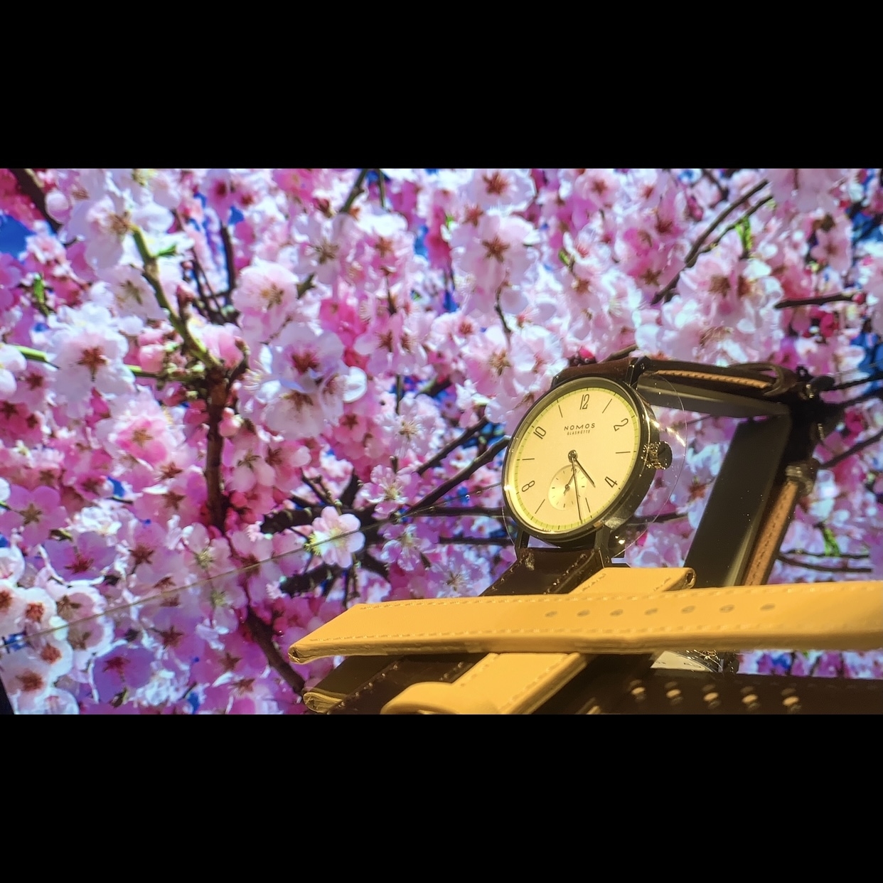 (ノモス グラスヒュッテ)
