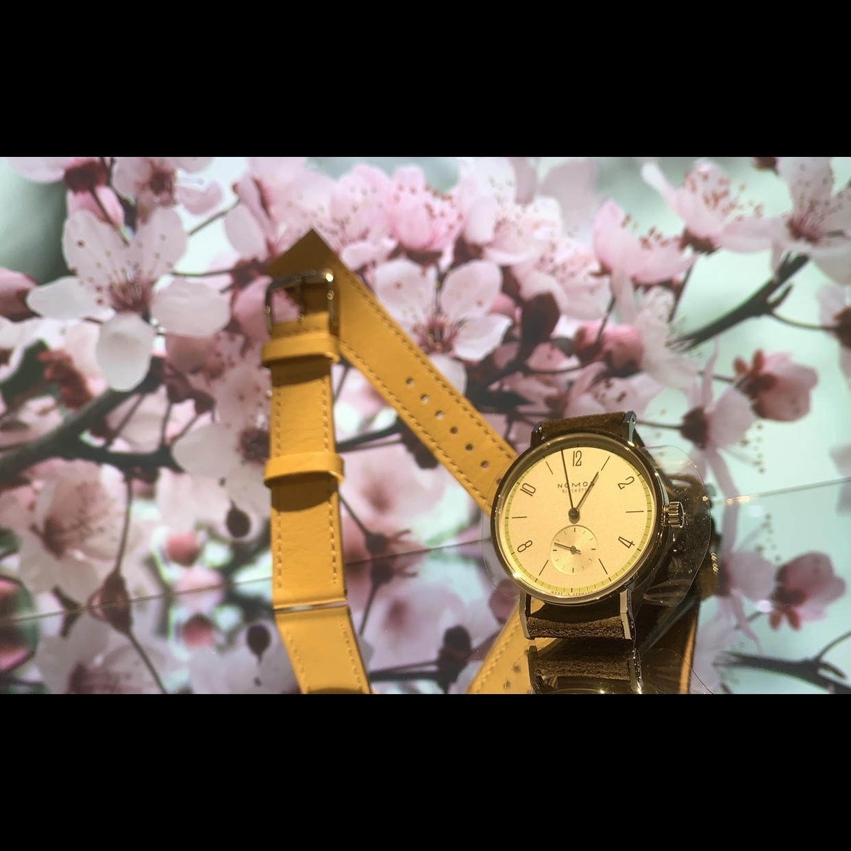 (ノモス グラスヒュッテ)
