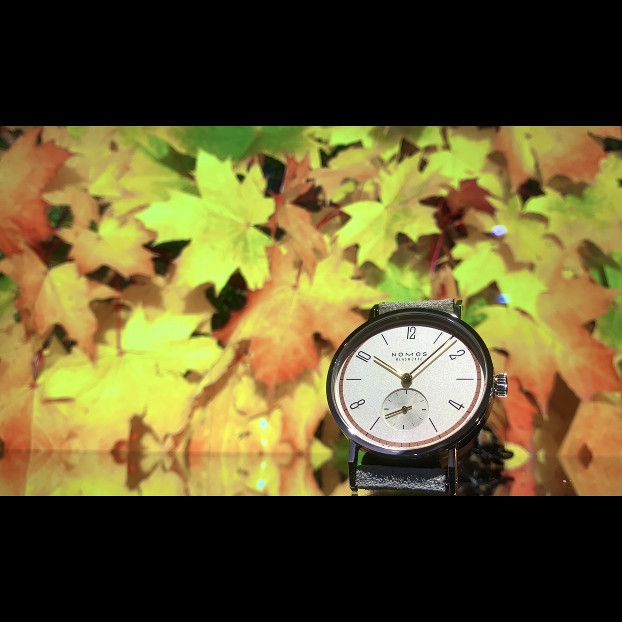 (ノモス グラスヒュッテ)
