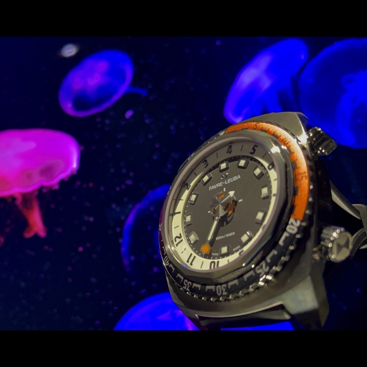 (ファーブル・ルーバ)
