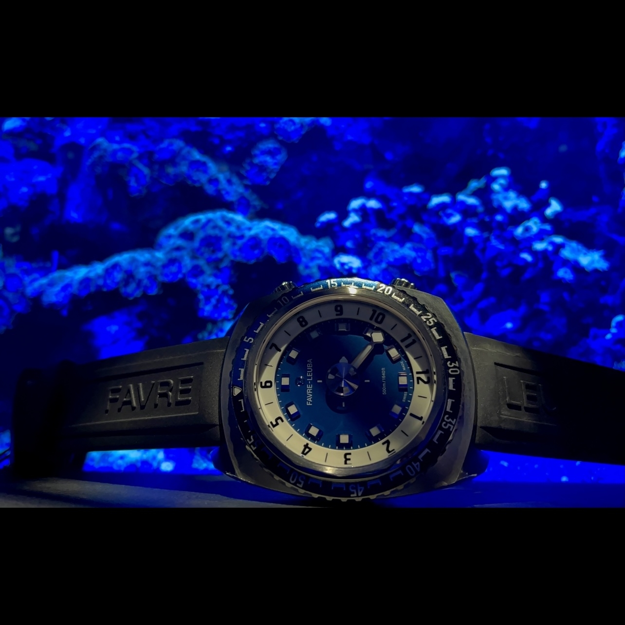 (ファーブル・ルーバ)
