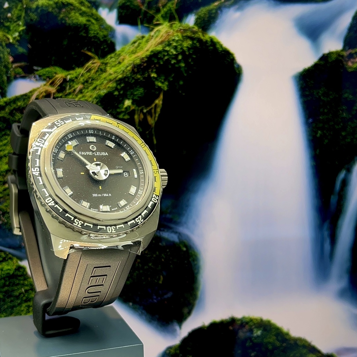 (ファーブル・ルーバ)
