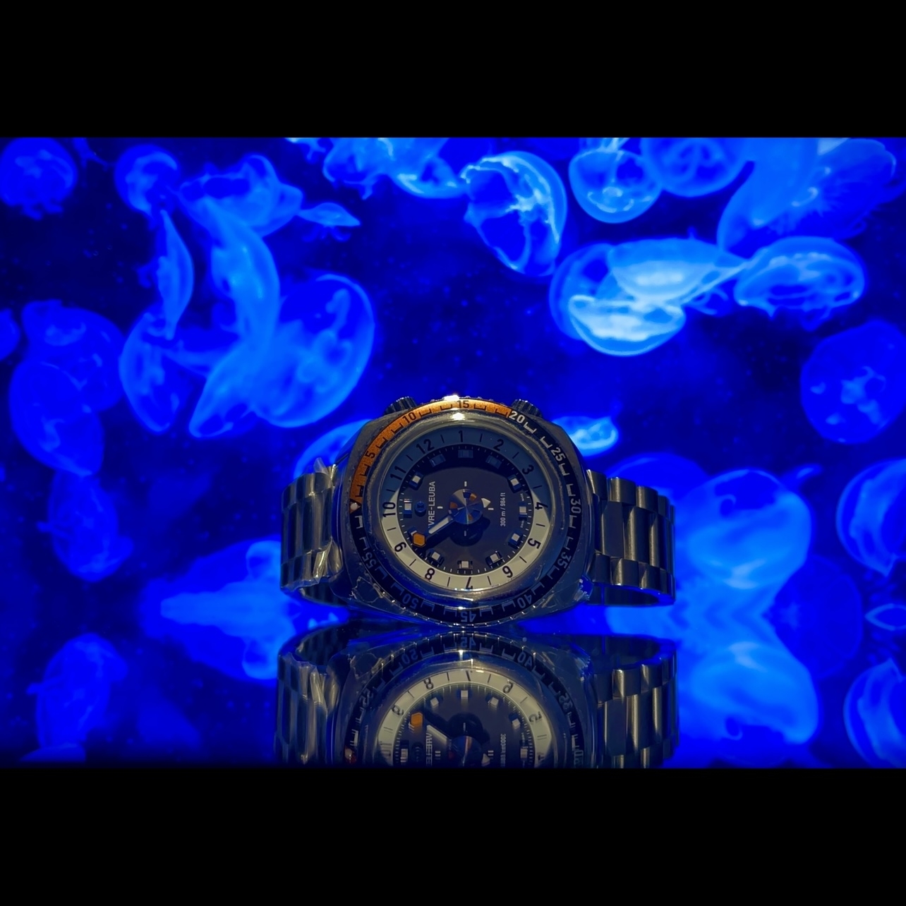 (ファーブル・ルーバ)
