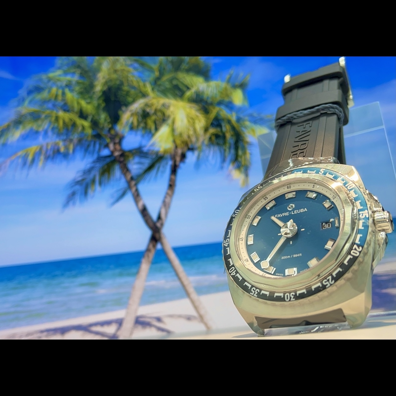 (ファーブル・ルーバ)
