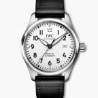 IWC(アイ・ダブリュー・シー)
