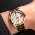ザ・シチズン(The CITIZEN) 【世界限定400本】 AQ4106-00A Iconic