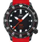 Sinn(ジン)
