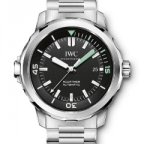 IWC(アイ・ダブリュー・シー)
