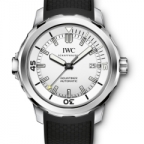 IWC(アイ・ダブリュー・シー)
