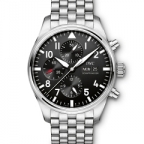IWC(アイ・ダブリュー・シー)

