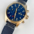 IWC(アイ・ダブリュー・シー)
