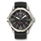 IWC(アイ・ダブリュー・シー)
