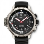 IWC(アイ・ダブリュー・シー)
