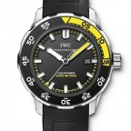 IWC(アイ・ダブリュー・シー)
