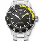 IWC(アイ・ダブリュー・シー)
