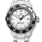 IWC(アイ・ダブリュー・シー)
