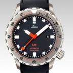 SINN(ジン)
