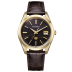 (ザ・シチズン)
