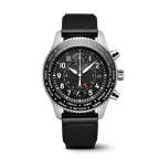 IWC(アイ・ダブリュー・シー)
